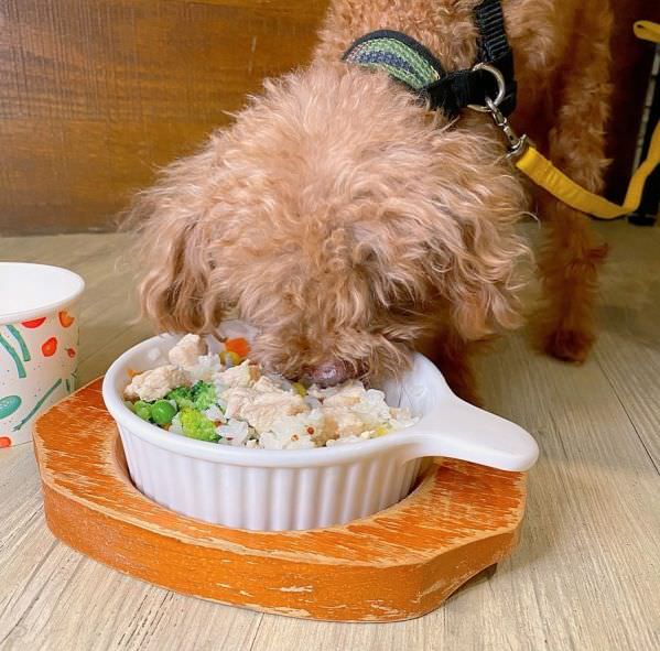 森林小徑精誠店對寵物超友善