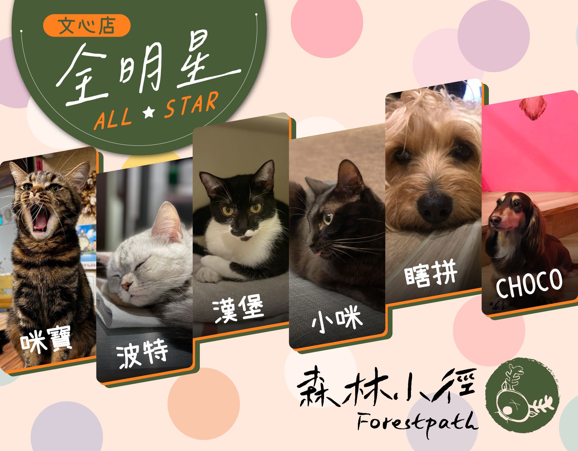 森林小徑餐廳文心店的明星